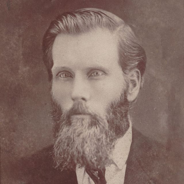 Helon Henry Tracy (1849 - 1893) Profile